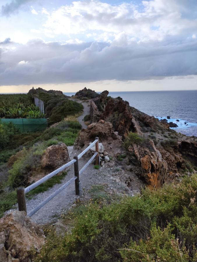 La Guancha La Casita Del Sendero 아파트 외부 사진