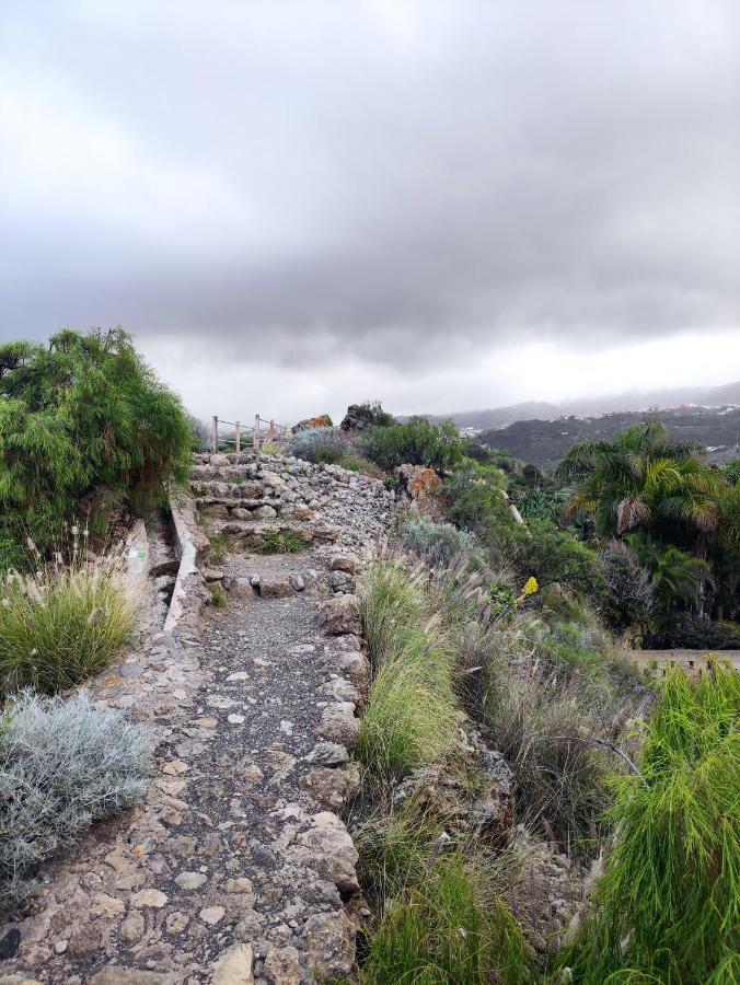 La Guancha La Casita Del Sendero 아파트 외부 사진